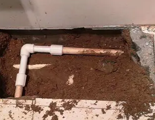 微山测漏水哪家好