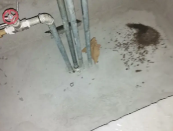 微山卫生间测漏水价格明细