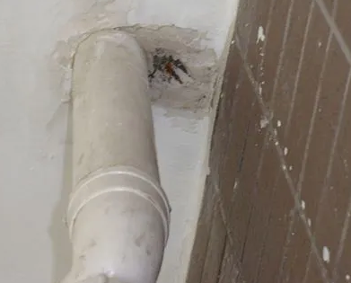 微山漏水检测哪家好